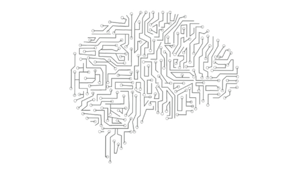 wireframe brain