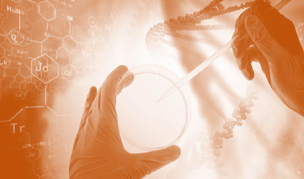 hands holding petri dish
