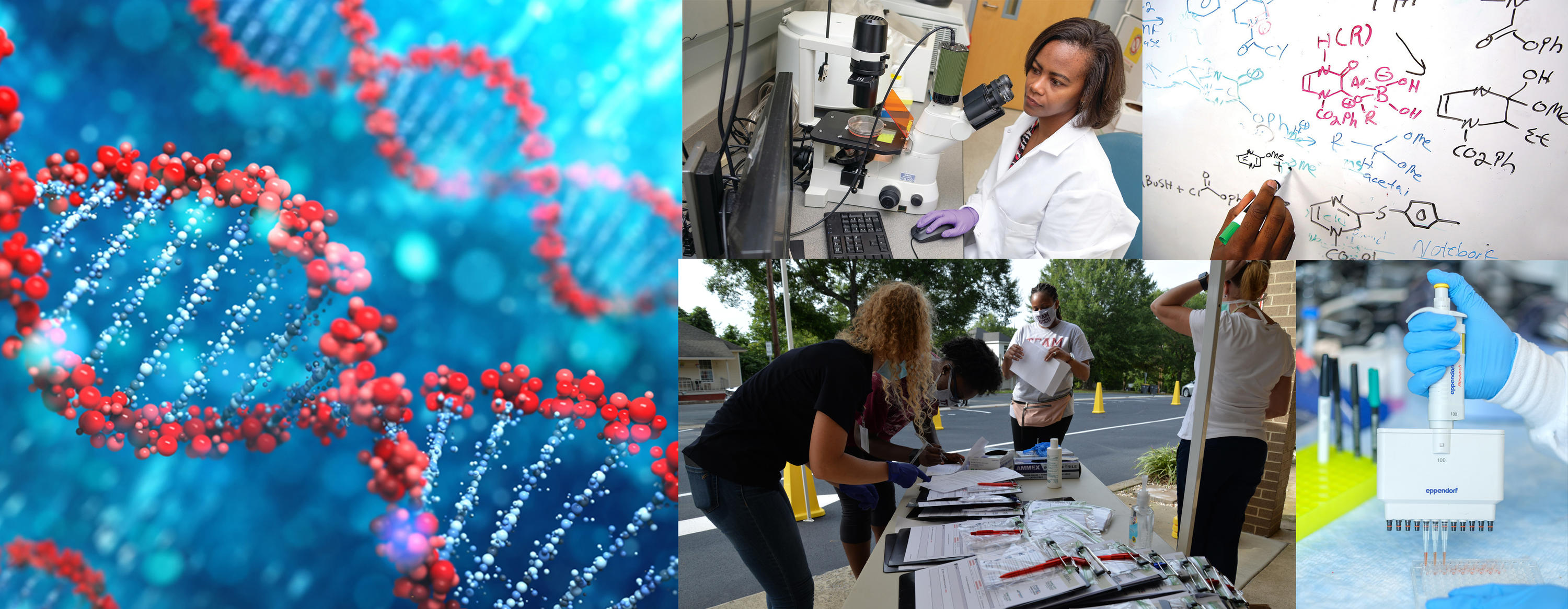 Collage of researchers and scientific images