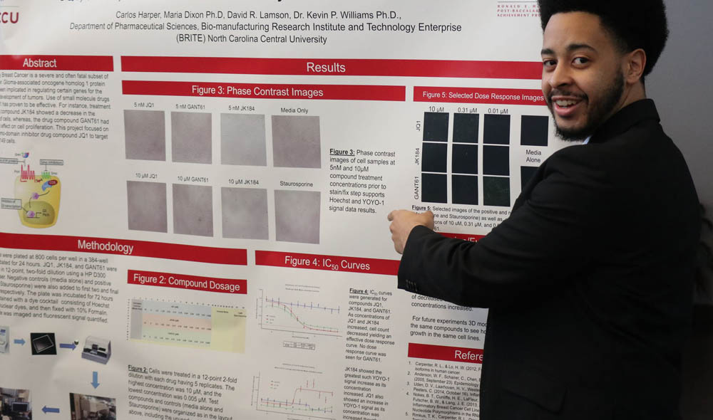 Student pointing at research presentation