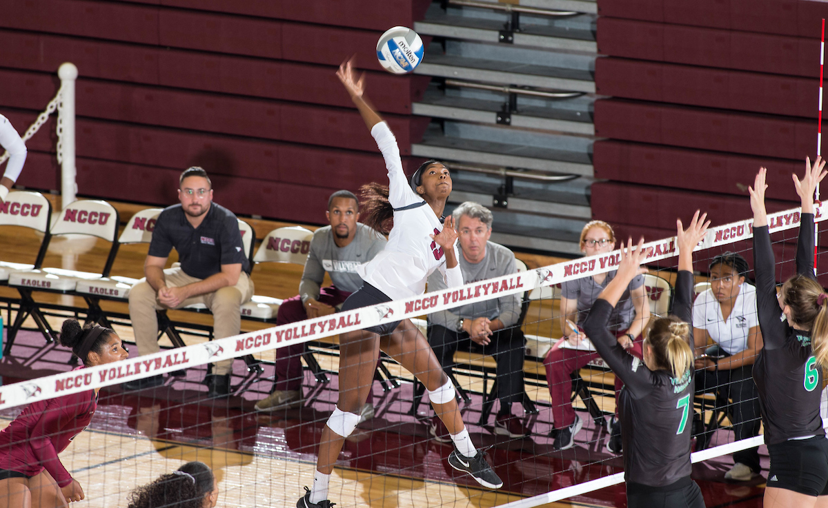 Volleyball