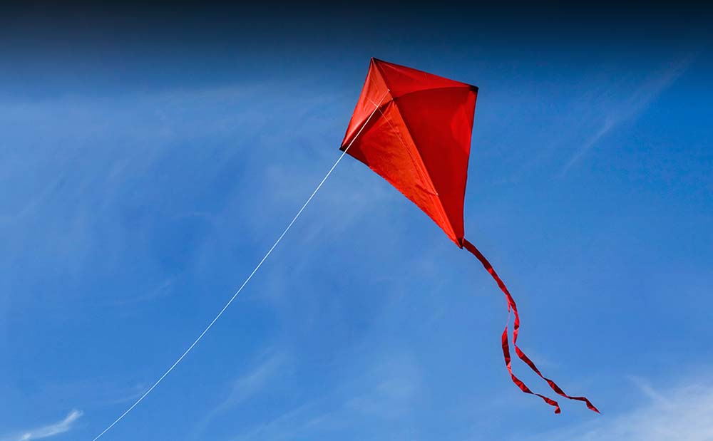 NCCU and Duke Present Kites myEOL NCCU