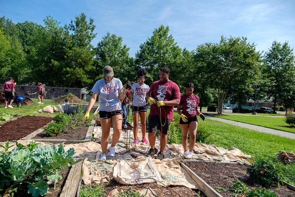 NCCU Eagles on Campus Community Garden