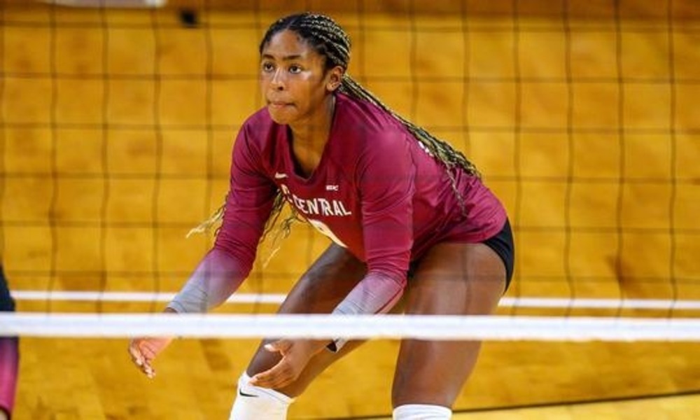 Volleyball player