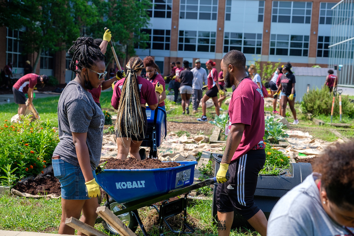Students Gardening