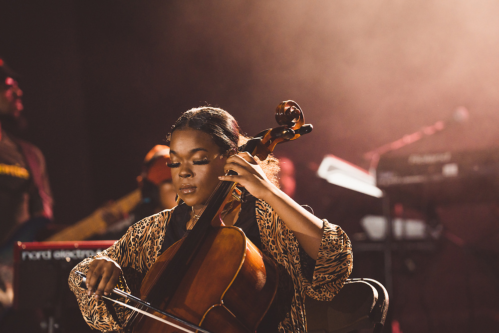 Musician on show