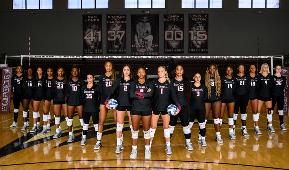 Volleyball team