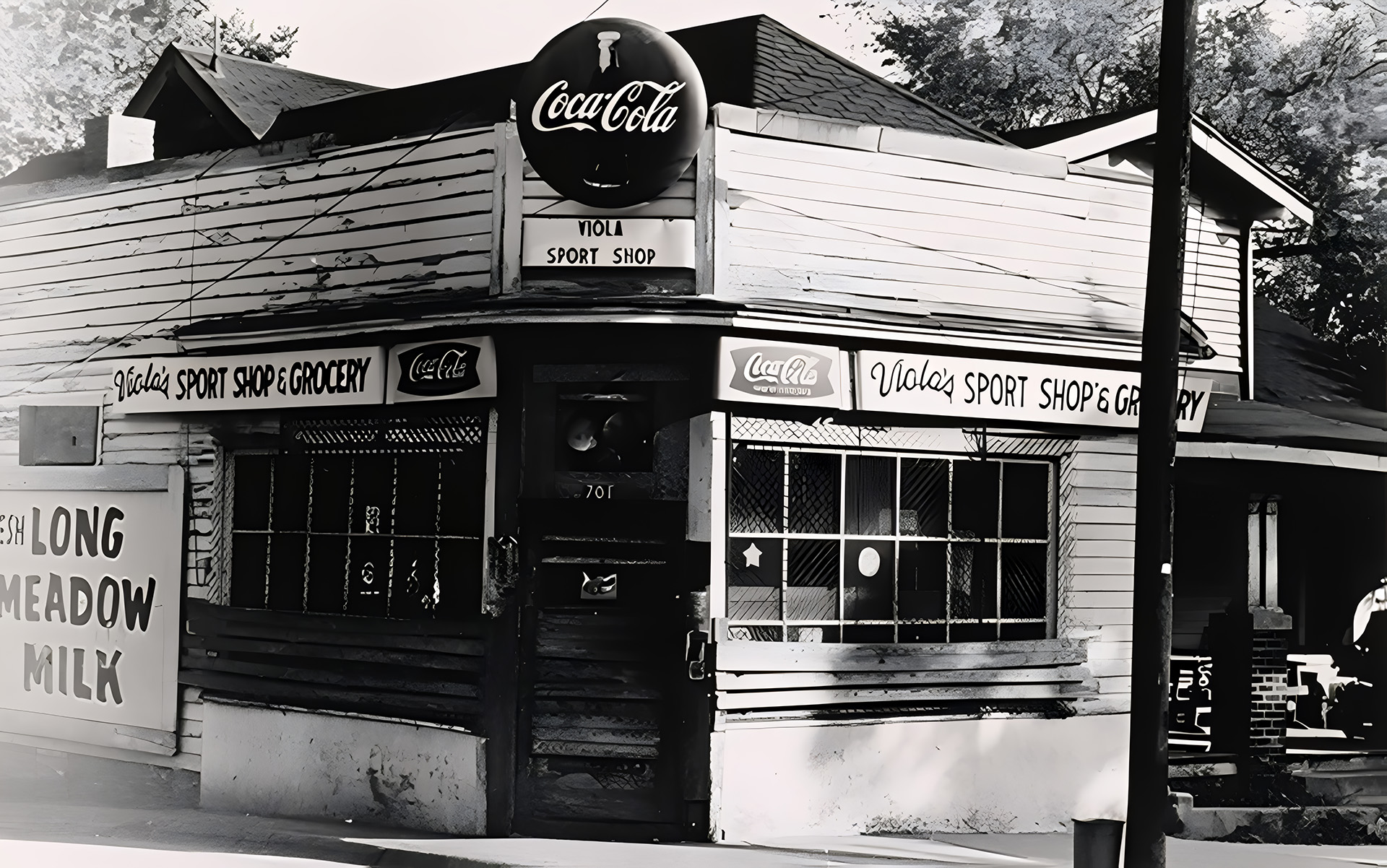 Viola's Grocery Shop
