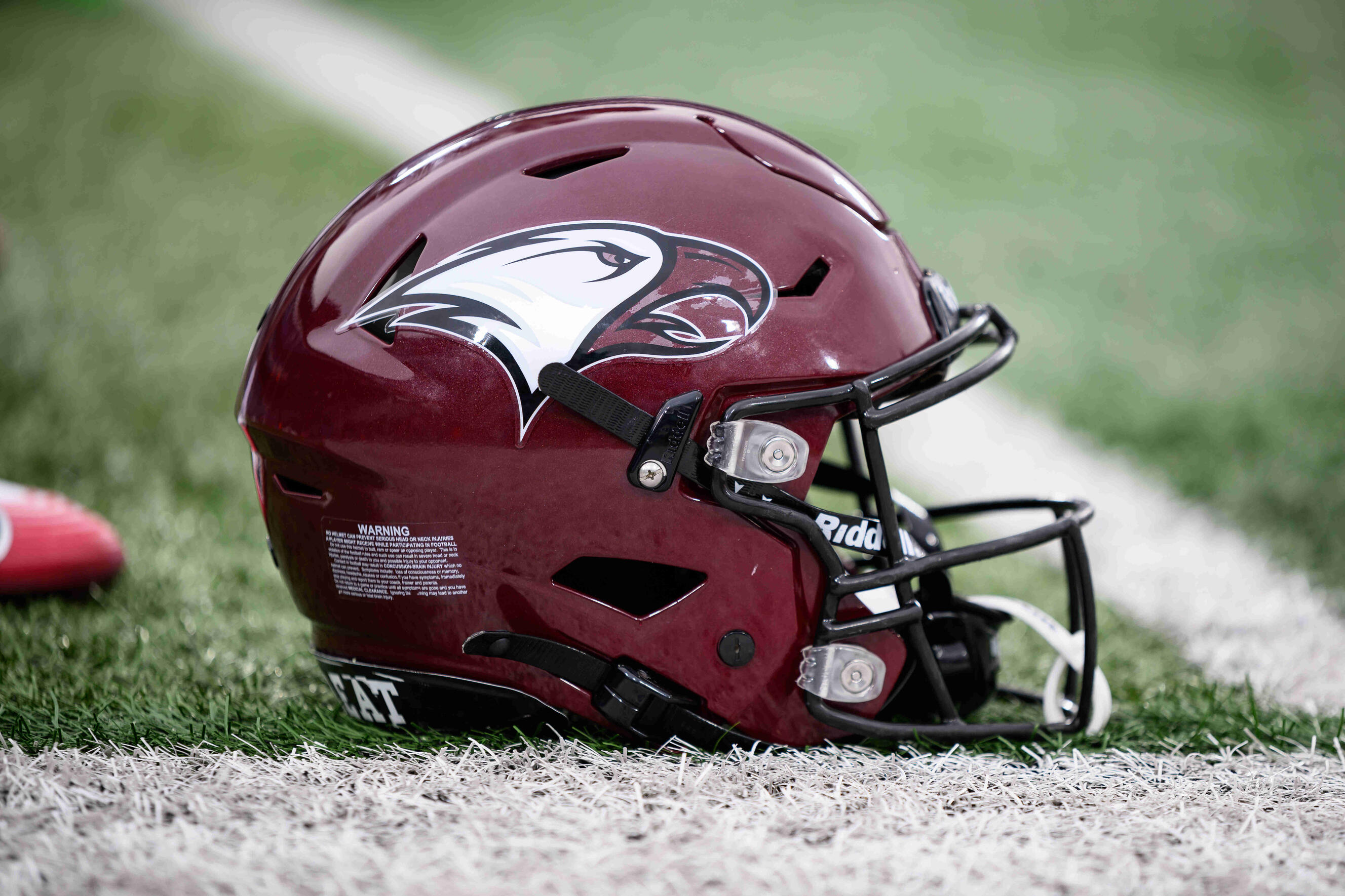 eagles football helmet