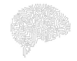 wireframe brain