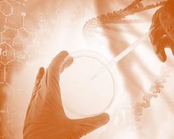 hands holding petri dish