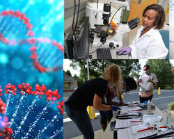 Collage of researchers and scientific images