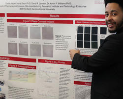 Student pointing at research presentation