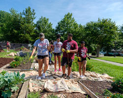 NCCU Eagles on Campus Community Garden