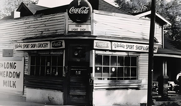 Viola's Grocery Shop