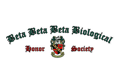 TriBeta
