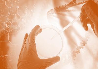 hands holding petri dish